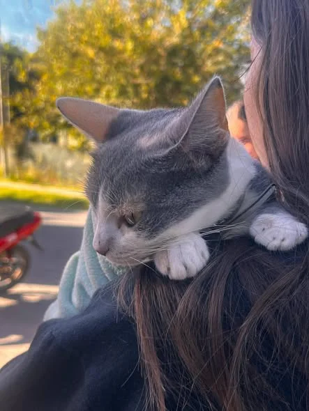 648665119_1375706297930593_2164742185096242028_n