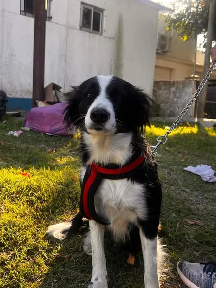 649775893_1375706294597260_3403385328735454154_n