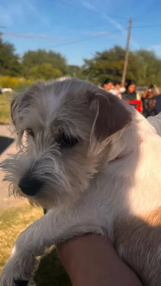 649152964_1375706311263925_7122666566536061488_n