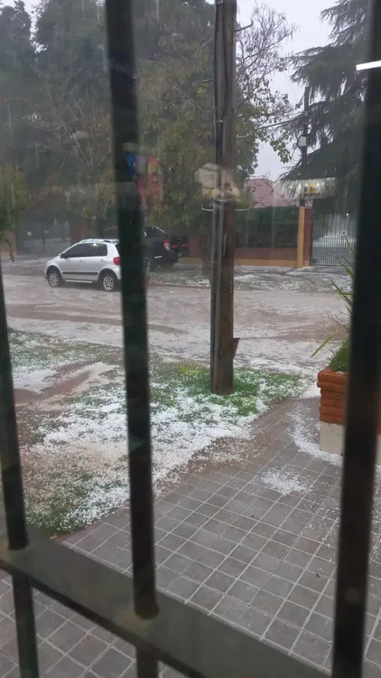 d60b4ed4-c785-4537-83bd-dff40fbaeee8