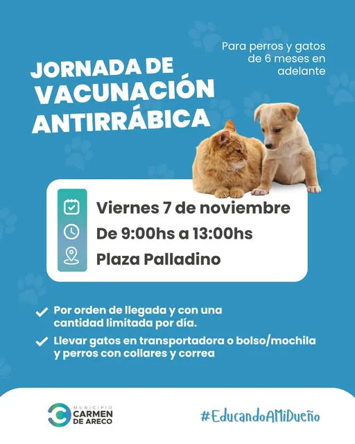 577357794_1275259831308574_3131901568599265992_n