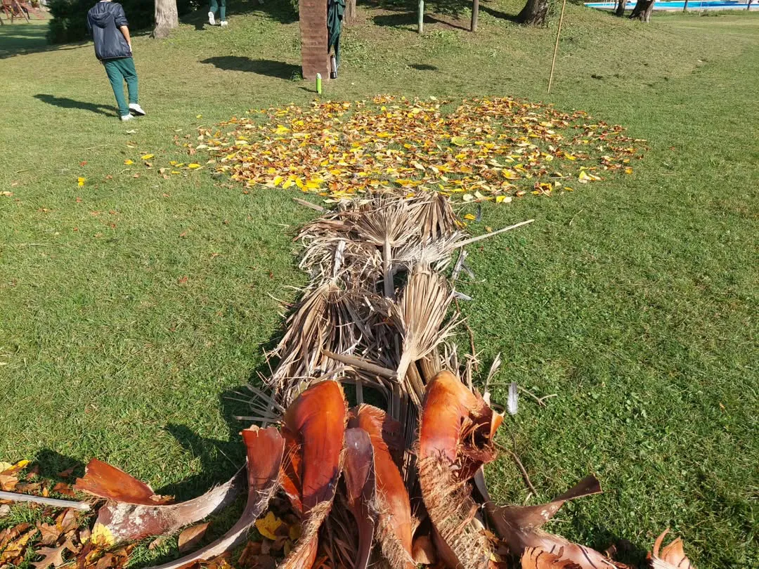 491462933_706988888470205_4445542397651740304_n