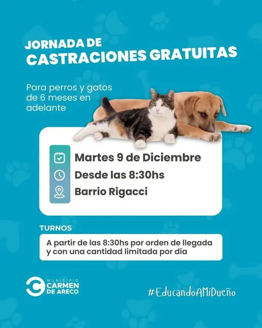 591140877_18411695758191259_4867872351642840055_n