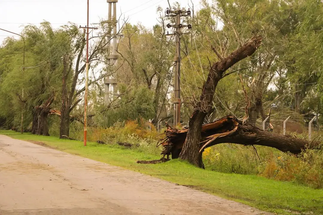 196d8259-3d8a-455c-8158-6b4da33cd98b