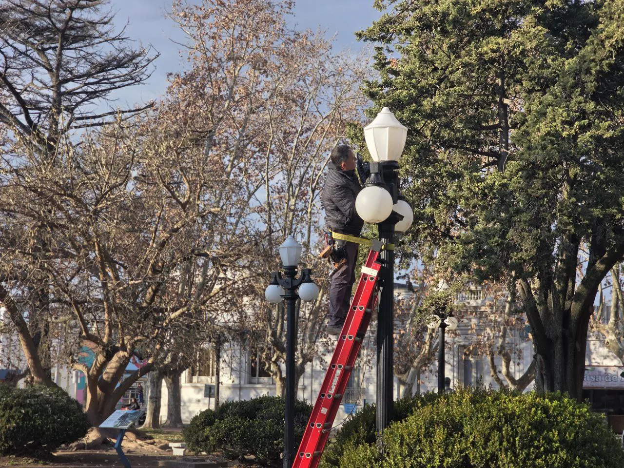 514269442_1177963257704899_6538848151337840922_n