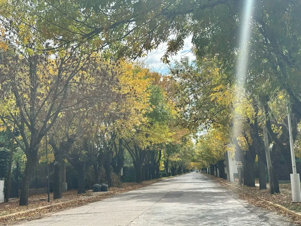 55f39ff8-a473-4705-9a0f-fa3d1273c012