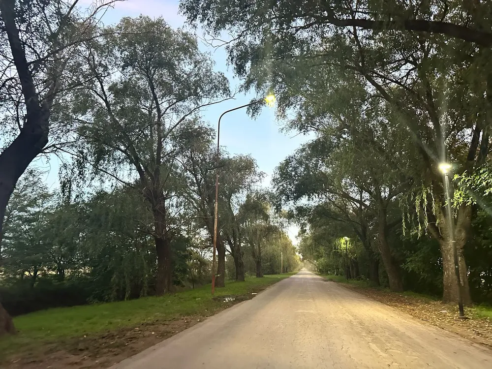 e12e8025-97a6-4cde-a70c-6b7811dee808