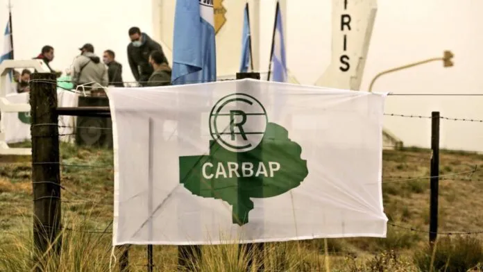 CARBAP-696x392 (1)